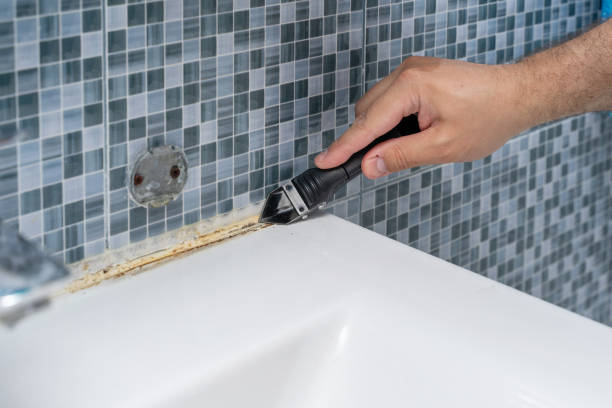 Best Black Mold Removal  in Wrightstown, WI